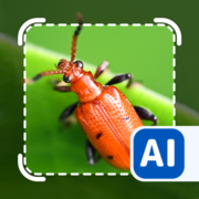 Picture insect: Bug identifier Apk by KueMiin