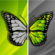 Before | After video effect Apk by Before | After