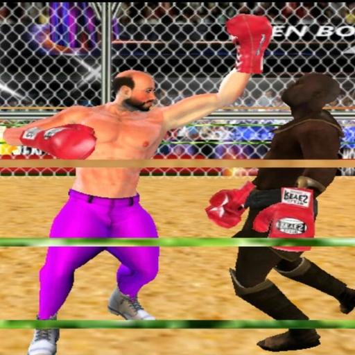 Punch Boxer - Boxing Fights - icon