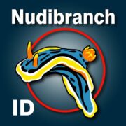 Nudibranch ID Eastern Pacific Apk by Gary Cobb