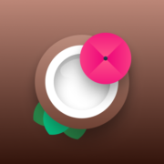 Coco Icons Apk by ThemesOnFire
