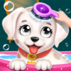 Labrador Puppy Daycare Salon icon