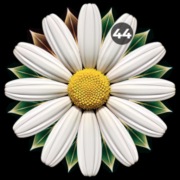 Watch Face Daisy Apk by Prime Design