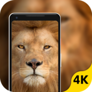 Animals Wallpaper HD Apk by Easy Trading Group