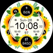 Floral Sunflower Botanical Apk by Modern & Minimalist Digital Designs