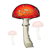 Mushroom Field Puzzle Apk by profigame.net