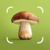 Mushroom ID - Fungi Identifier icon