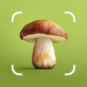 Mushroom ID – Fungi Identifier Apk by AIBY Inc.
