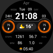 Digital Fros Watch Face Apk by The Era of Style