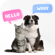 Dog & Cat Translator Prank Apk by MayZing Tech